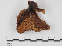 登錄號:F0023574藏品圖，第3張