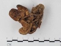 登錄號:F0023577藏品圖，第3張