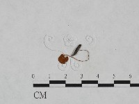 登錄號:F0023579藏品圖，第3張