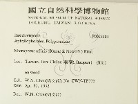 相鄰小孔菌藏品圖，第2張