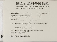 炭角菌屬藏品圖，第2張