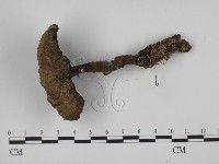 登錄號:F0023586藏品圖，第1張
