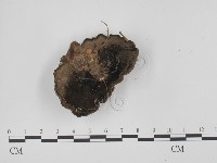 登錄號:F0023586藏品圖，第3張