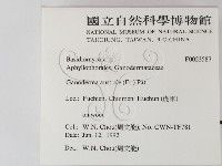 登錄號:F0023587藏品圖，第2張