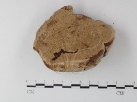 登錄號:F0023587藏品圖，第3張
