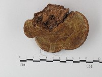 登錄號:F0023588藏品圖，第3張