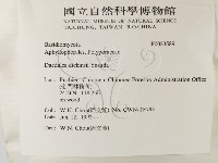 登錄號:F0023589藏品圖，第2張