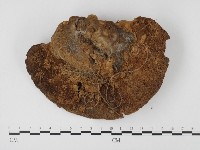 登錄號:F0023589藏品圖，第1張