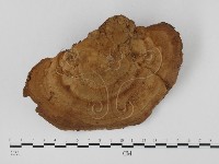 登錄號:F0023589藏品圖，第3張