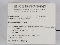 登錄號:F0023590藏品圖，第2張