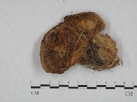 登錄號:F0023590藏品圖，第3張