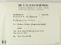 登錄號:F0023591藏品圖，第2張