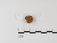 登錄號:F0023591藏品圖，第1張