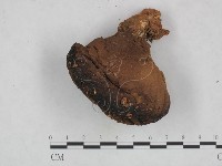 登錄號:F0023592藏品圖，第1張