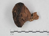 登錄號:F0023592藏品圖，第3張