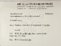 登錄號:F0023593藏品圖，第2張