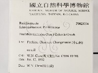 登錄號:F0023594藏品圖，第2張