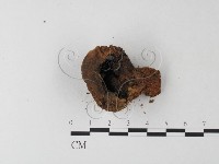 登錄號:F0023594藏品圖，第3張