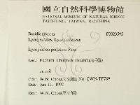 登錄號:F0023595藏品圖，第2張