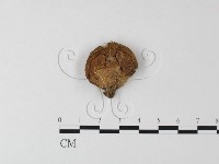 登錄號:F0023595藏品圖，第1張