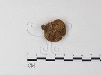 登錄號:F0023595藏品圖，第3張