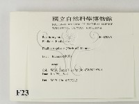 登錄號:F0023596藏品圖，第2張