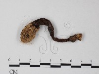 登錄號:F0023596藏品圖，第3張