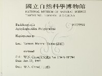 登錄號:F0023599藏品圖，第2張