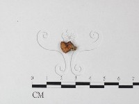 登錄號:F0023599藏品圖，第1張