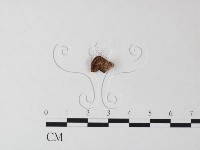 登錄號:F0023599藏品圖，第3張