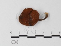 登錄號:F0023600藏品圖，第1張