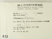 登錄號:F0023603藏品圖，第2張
