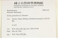 登錄號:F0023603藏品圖，第4張