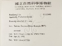 登錄號:F0023605藏品圖，第2張