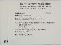 登錄號:F0023607藏品圖，第2張