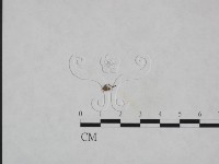 登錄號:F0023607藏品圖，第3張