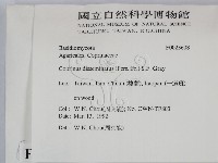 登錄號:F0023608藏品圖，第2張