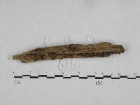 登錄號:F0023608藏品圖，第3張