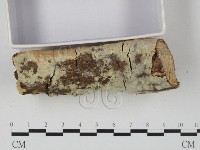 登錄號:F0023609藏品圖，第3張