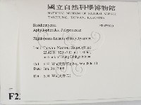 登錄號:F0023610藏品圖，第2張