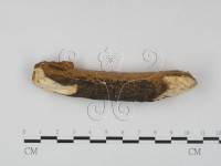 登錄號:F0023614藏品圖，第1張