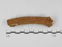 登錄號:F0023614藏品圖，第3張