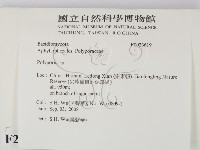 多孔菌屬藏品圖，第2張