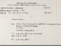 登錄號:F0023621藏品圖，第2張