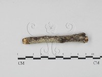 登錄號:F0023621藏品圖，第3張