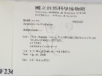 刺皮菌屬藏品圖，第2張