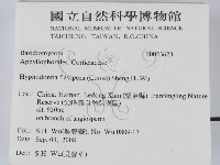 登錄號:F0023623藏品圖，第2張