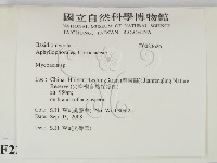 登錄號:F0023626藏品圖，第2張