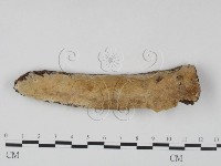 登錄號:F0023626藏品圖，第1張
