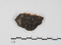 登錄號:F0023629藏品圖，第1張